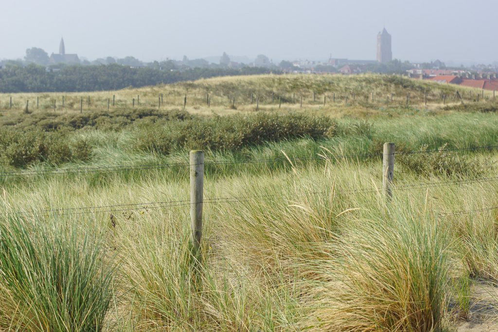 Masterplan - Monster achter de Duinen DSC07022