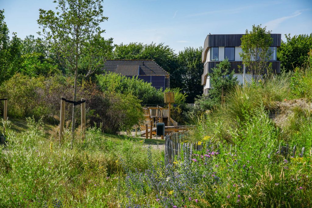 Masterplan Santhorsthof DSC01386